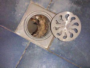 广州建王防水材料